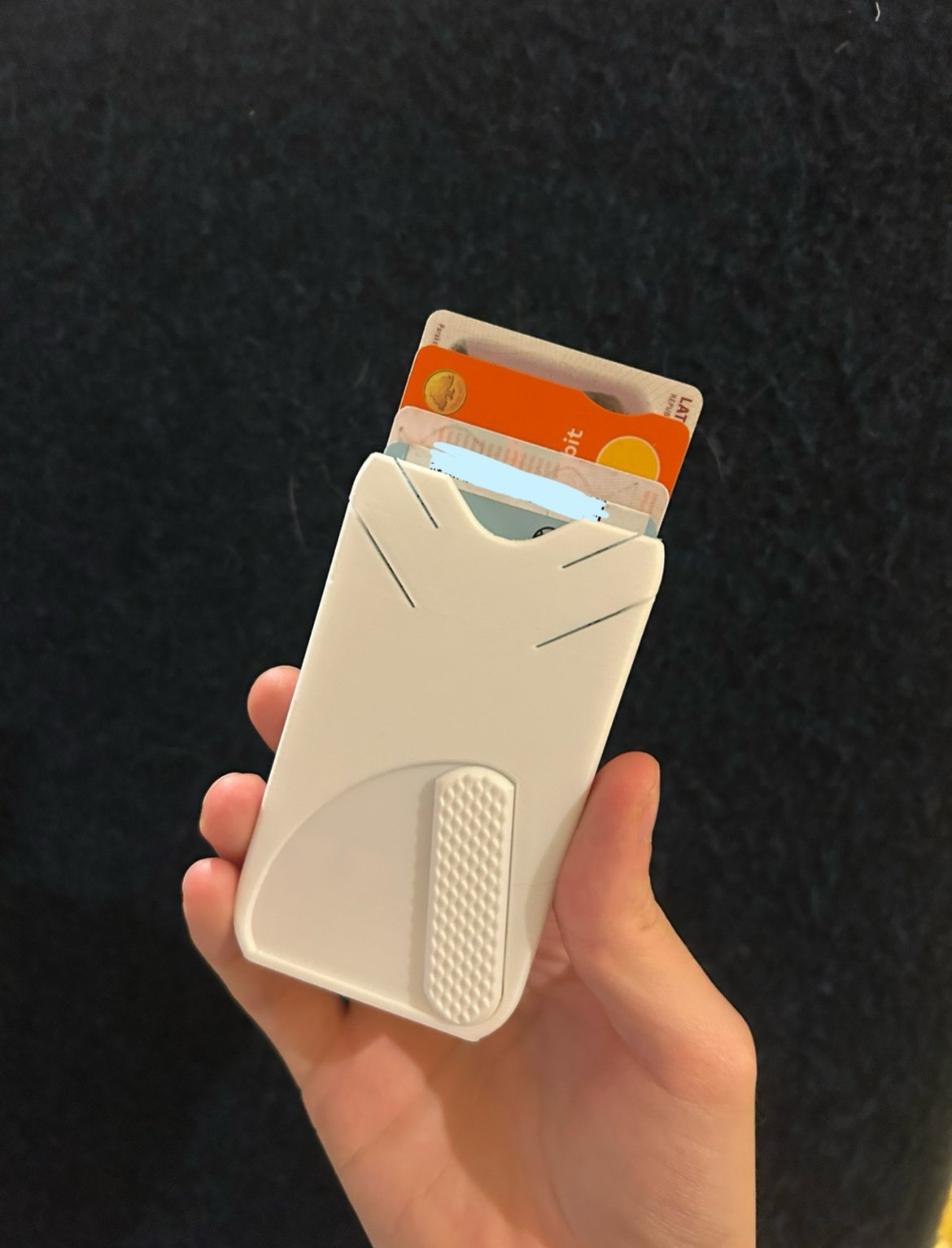 Maks kartēm / Card Holder